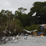 Amazônia Soberana: programa vai combater crimes em áreas de fronteira
