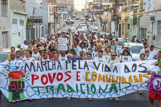 Viva Maria destaca aliança em defesa da Mata Atlântica