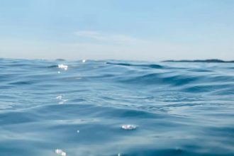 Dia Mundial dos Oceanos reforça importância dos mares para o clima
