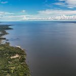 Dia do Meio Ambiente reforça importância de ações sustentáveis no país