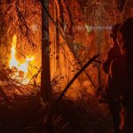 MP libera mais de R$ 337 milhões para combate a incêndios florestais