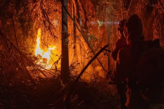 MP libera mais de R$ 337 milhões para combate a incêndios florestais