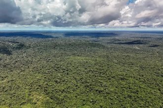Adversária em campo, Noruega é parceira de ações ambientais do Brasil
