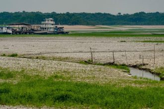 Amazônia apresenta sinais de adaptação às mudanças climáticas