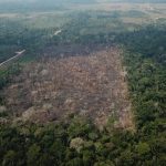 Amazônia registra queda de 35% nos alertas de desmatamento em junho