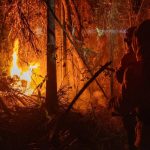 Brasil tem queda de 14% na quantidade de focos de queimadas em junho