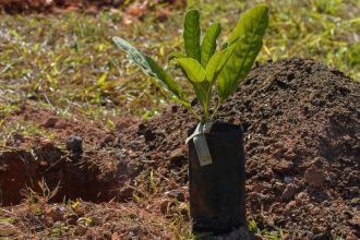 Sesi Lab inaugura espaço que abriga sistema agroecológico educativo