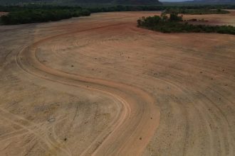 Alertas de desmatamento caem 37% na Amazônia e 8% no Cerrado