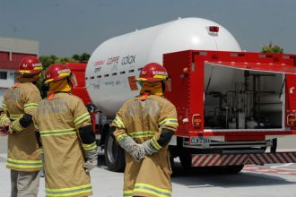 Bombeiros do Rio já fizeram 18 mil salvamentos de animais em 2026