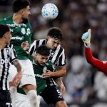 Botafogo segura Palmeiras e ajuda Flamengo, novo líder do Brasileirão