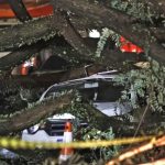 Chuvas fortes levam Defesa Civil a emitir mais de 50 alertas em SP