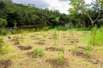 ECA Ambiental garante direito de acesso de jovens a áreas verdes
