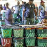 Justiça do Trabalho recomenda adaptação para enfrentar El Niño
