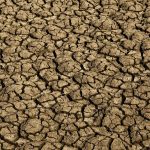 Seca provoca situação de emergência em 123 cidades do RN