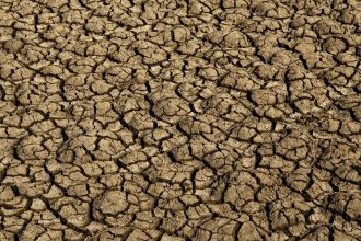 Seca provoca situação de emergência em 123 cidades do RN