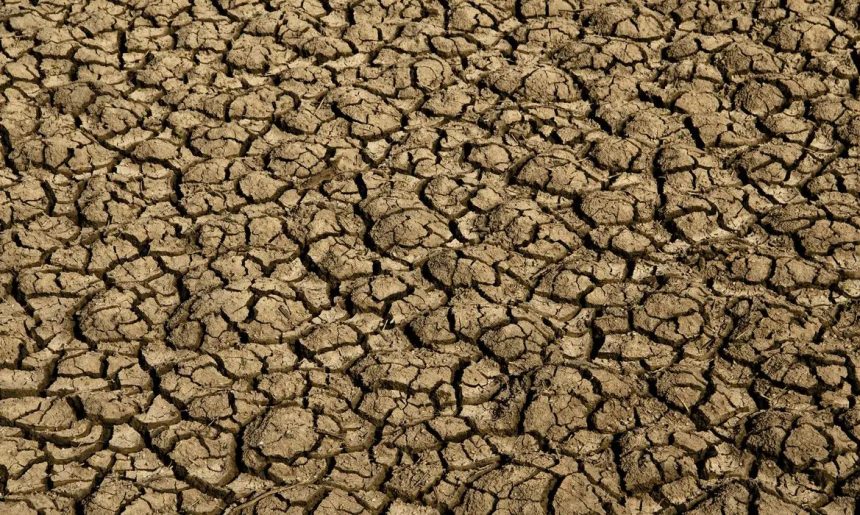 Seca provoca situação de emergência em 123 cidades do RN