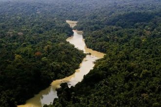 Viva Maria: uma mulher na linha de frente pela Amazônia