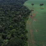 Agro cresce 561% no entorno de áreas protegidas na Amazônia em 41 anos