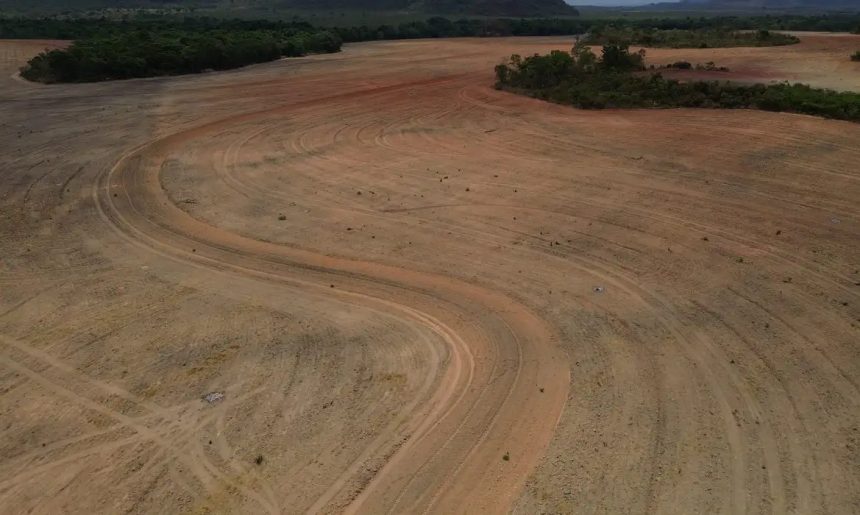 Cerrado perde um quarto da vegetação a menos de 500 metros de rios