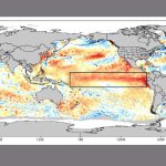 El Niño em alta: Pacífico registra 2ª maior temperatura da história