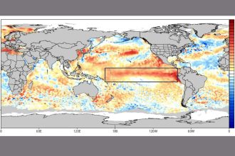 El Niño em alta: Pacífico registra 2ª maior temperatura da história