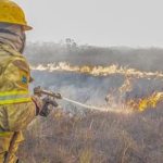 Forças federais e estaduais trabalham contra queimadas no Amazonas