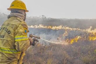 Forças federais e estaduais trabalham contra queimadas no Amazonas