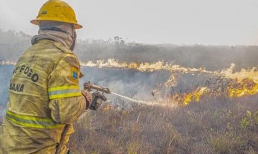 Forças federais e estaduais trabalham contra queimadas no Amazonas
