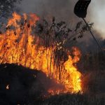 Fumaça de incêndios encobre regiões de Manaus