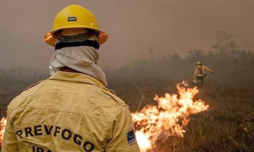 Governo faz força-tarefa e envia 11 aeronaves para combater fogo no AM