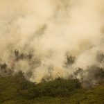 MG: principal foco de incêndio em Terra Indígena Maxakali é extinto