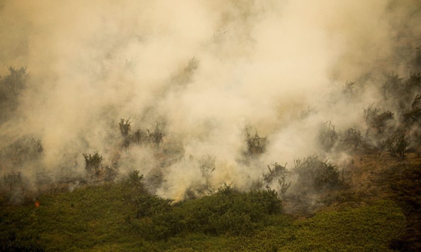 MG: principal foco de incêndio em Terra Indígena Maxakali é extinto